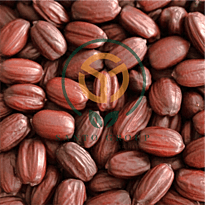 Oil Seeds like Jojoba Seeds, etc.